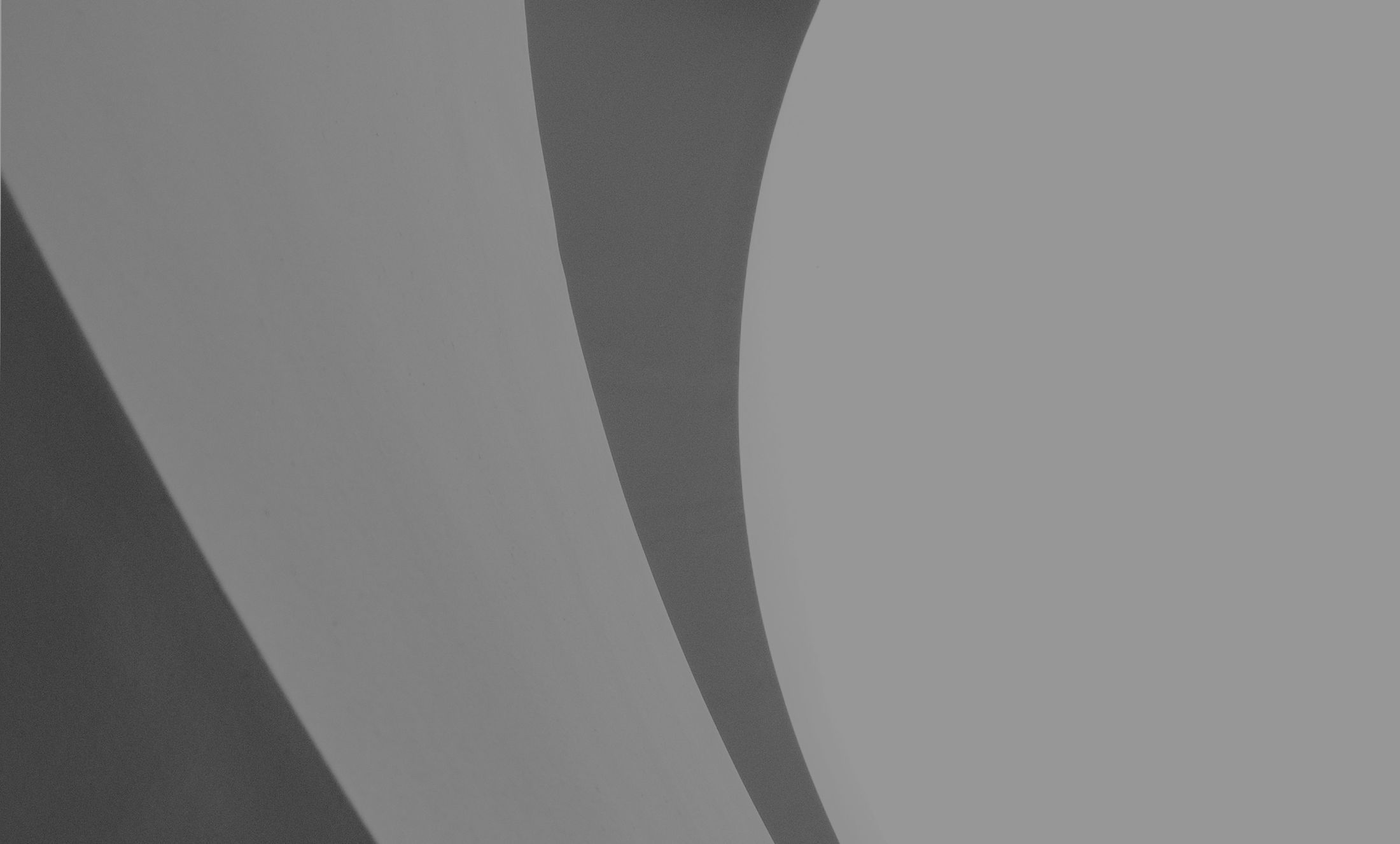 Abstract curves in black and white composition.